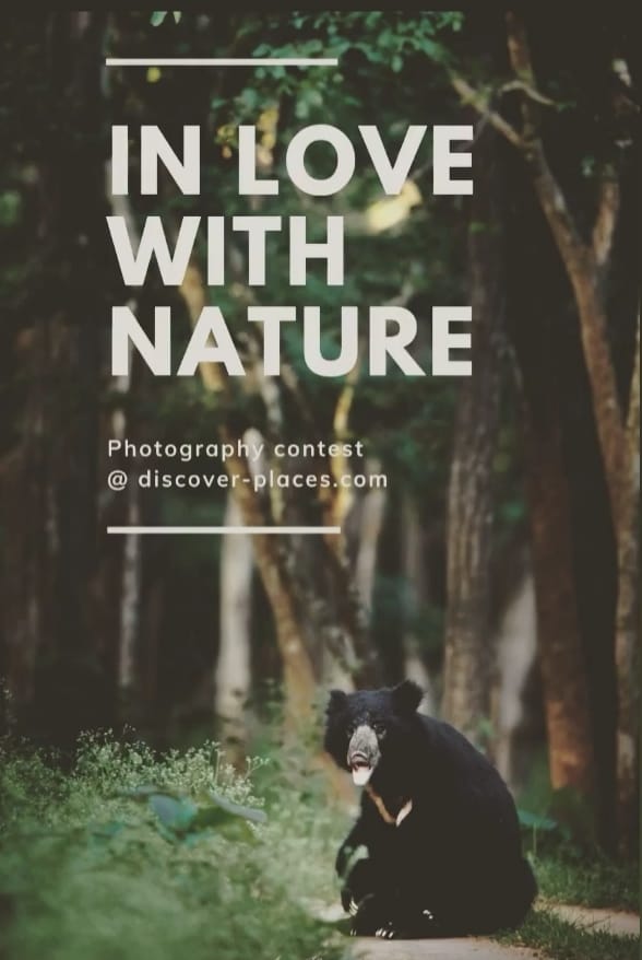Fall in love, with Nature (June 2020)