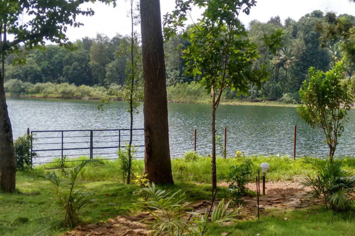 Backwater Resort