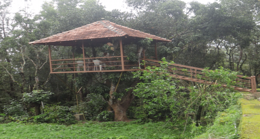 Honeyvale Homestay