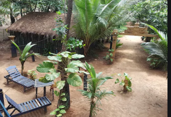 Nirvana Nature
