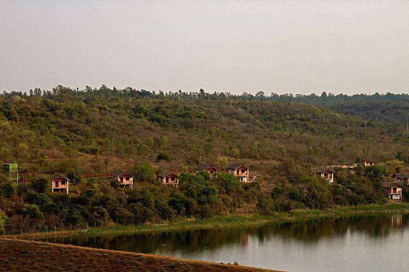 Blackbuck Resort