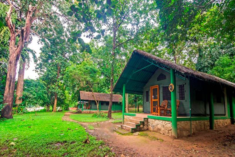 Kali Adventure & Wilderness Camp