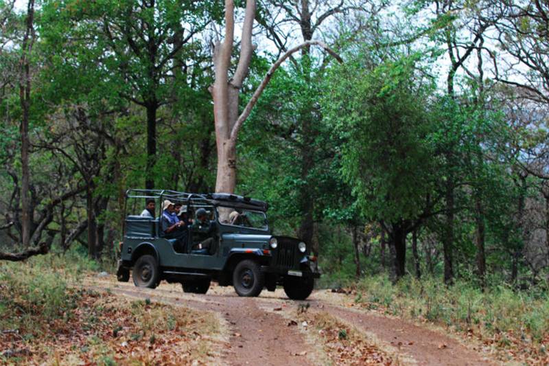 Kyathdevaraya Gudi Wilderness Camp