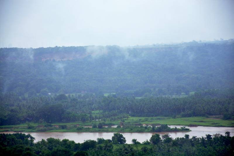 Phalguni River Lodge