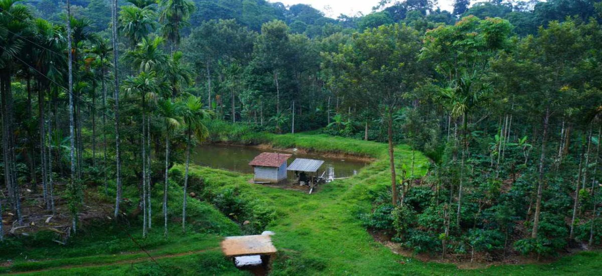 17486098031_Evergreen_Alukatte_Homestay_1.jpg